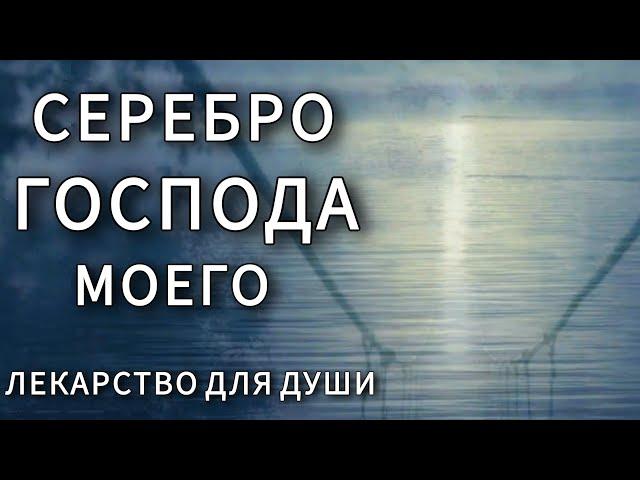 "Серебро Господа моего". Лекарство для Души