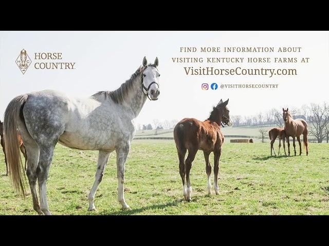 Visit with Tiz the Law's dad at WinStar Farm