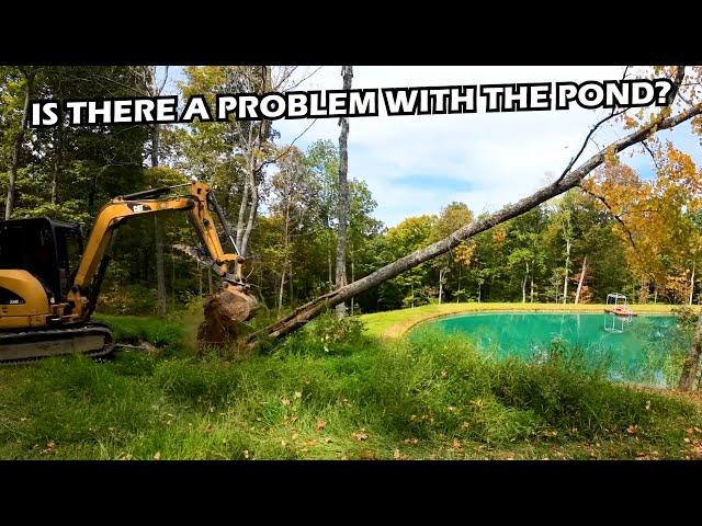 Tree Removal at the Pond - Caterpillar Excavator