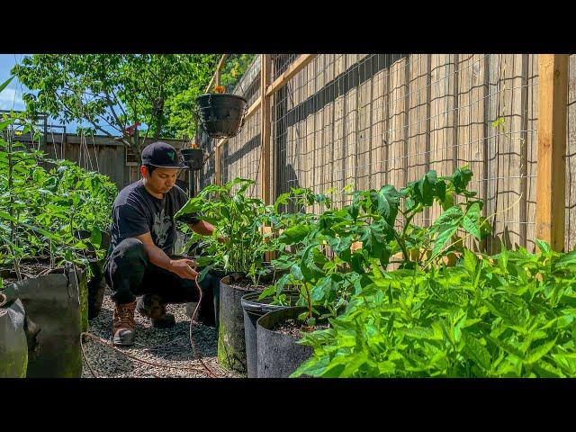 Drip Irrigation is a Time Saver - Never Have to Water the Garden Again!