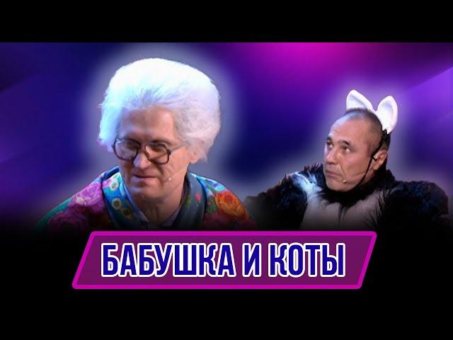 Номер Бабушка и Коты - Концерт Грачи пролетели