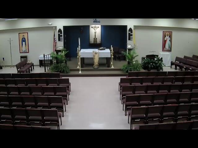 Christ the Redeemer Catholic Church Live Stream