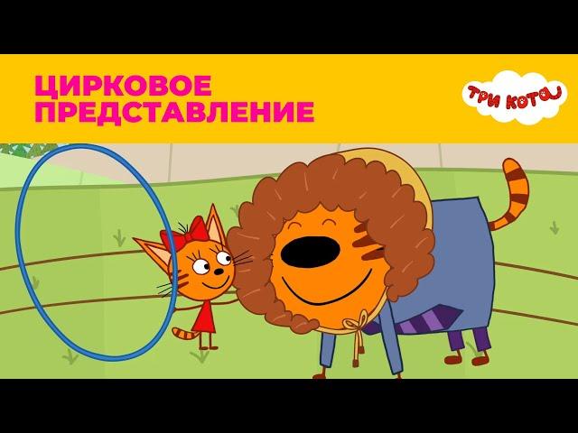 Три кота | Сезон 1 | Цирковое представление