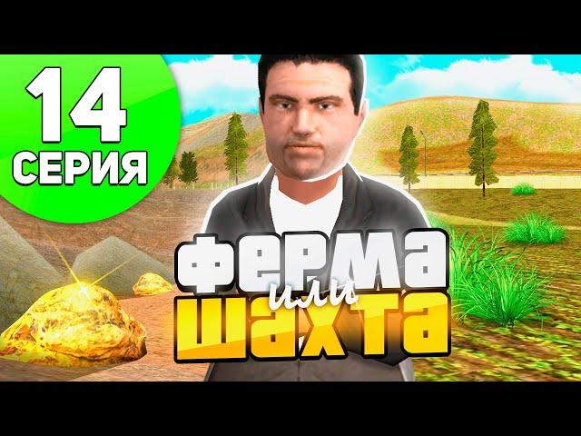 Где ВЫГОДНЕЕ РАБОТАТЬ?‍️ШАХТА или ФЕРМА ЛЬНА и ХЛОПКА - ПУТЬ БОМЖА на РОДИНА РП #14 (родина крмп)