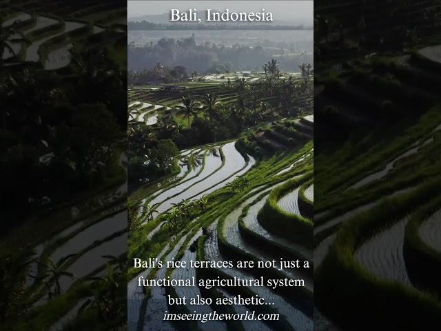 Explore the Breathtaking Bali Rice Terraces #imseeingtheworld.com