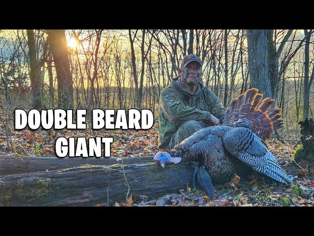 Big Eastern Catches Me Off Guard - Sunrise Surprise Turkey Hunt