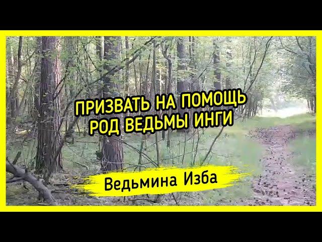 ПРИЗВАТЬ НА ПОМОЩЬ РОД ВЕДЬМЫ ИНГИ. ВЕДЬМИНА ИЗБА ▶️ МАГИЯ