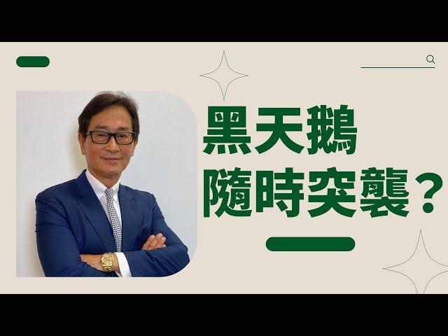 【郭Sir重點睇】黑天鵝隨時突襲？《郭思治》2024-11-24