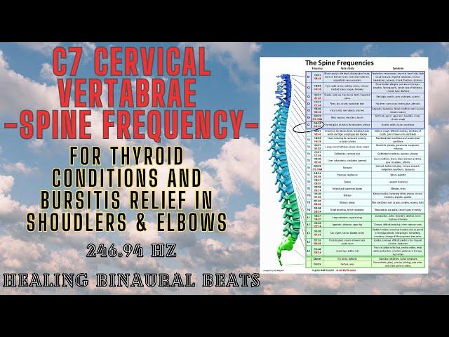 C7 Cervical Vertebrae Spine Frequency: 246.94 Hz for Thyroid Conditions and Bursitis Relief