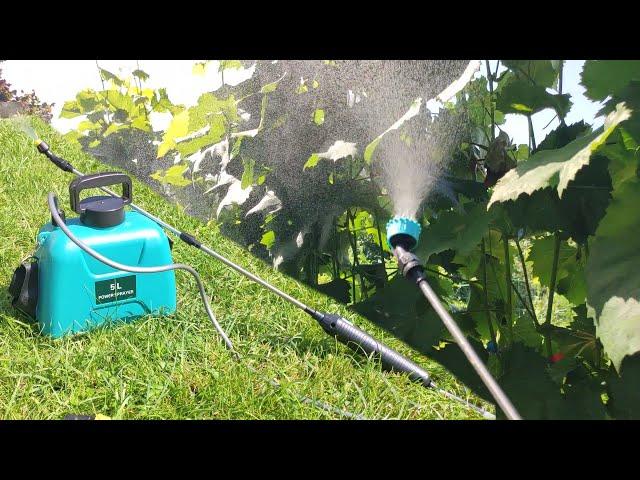 Cordless garden sprayer with 5 liter tank