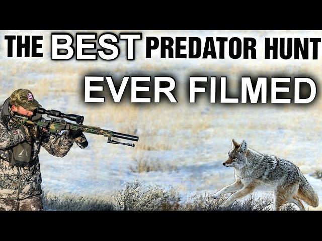 The Best Predator Hunt Ever Filmed  | 25 Coyotes Down With Four Different Calibers | New 2025