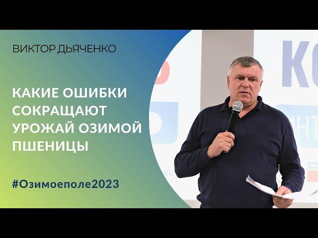 Какие ошибки сокращают урожай озимой пшеницы. Опыт семеновода Виктора Дьяченко