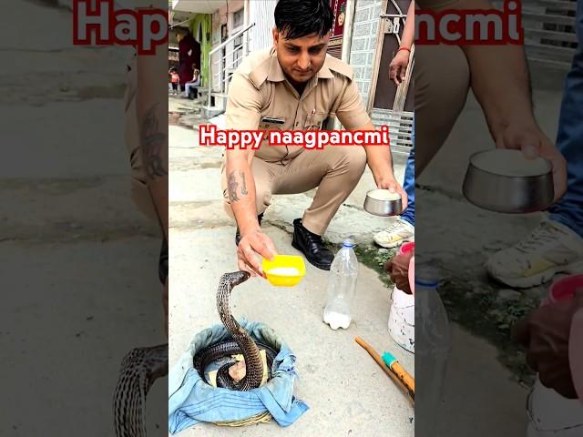 happy nagpanchmi #shortvideo #lovestatus #trendingshorts #chiragraj7777