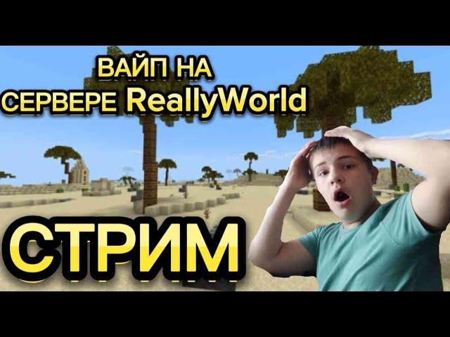 ЖДЁМ ВАЙП REALLYWORD 3.0 2 ЧАСТЬ / СТРИМ ПО МАЙНКРАФТУ  /  ВЕСЕЛИМСЯ / ИГРАЮ НА REALLYWORLD