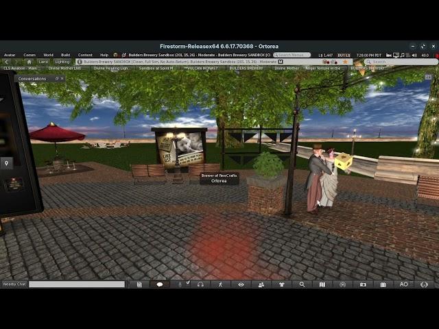 P3 OBS Plugin froze up - LINUX ZORIN OS 17 Second Life.