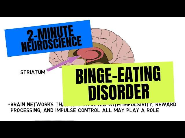 2-Minute Neuroscience: Binge-Eating Disorder