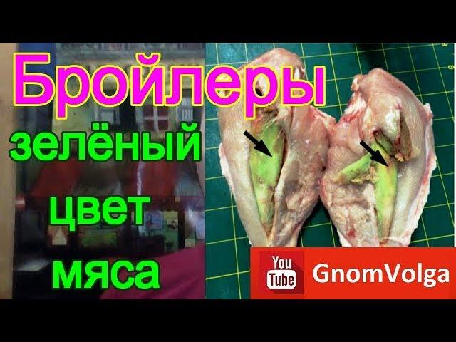 Broilers meat green