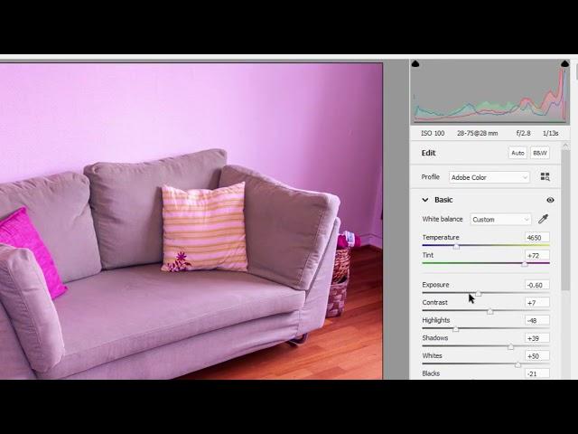 Editing in Camera RAW in Photoshop Elements