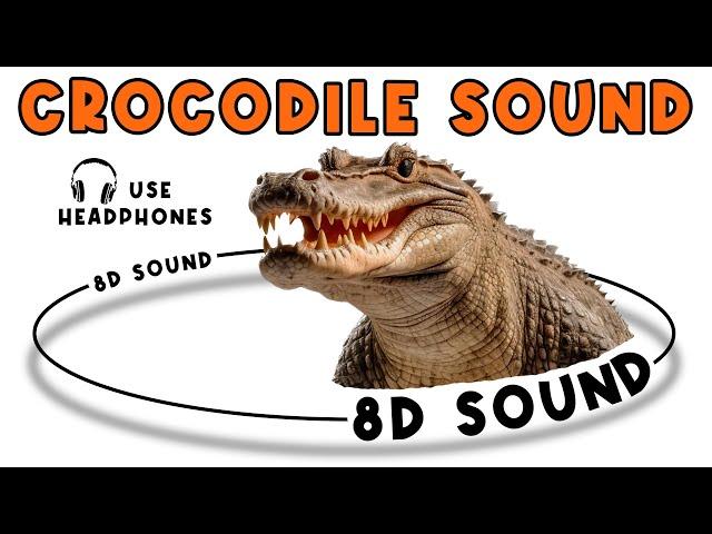 CROCODILE SOUND - CROCODILE SOUND EFFECT - NOISE OF CROCODILE - animal sound