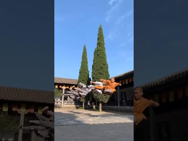 Shaolin KungFu Training Exercises