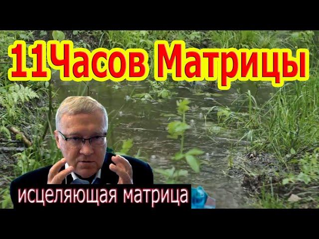 11Часов Матрицы Гаряева Полное Исцеление Всего Организма, Можно Слушать Вечно.