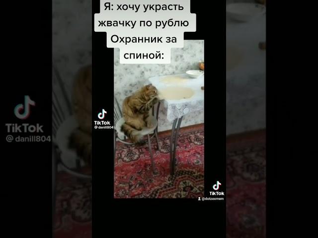 щас как п*здану