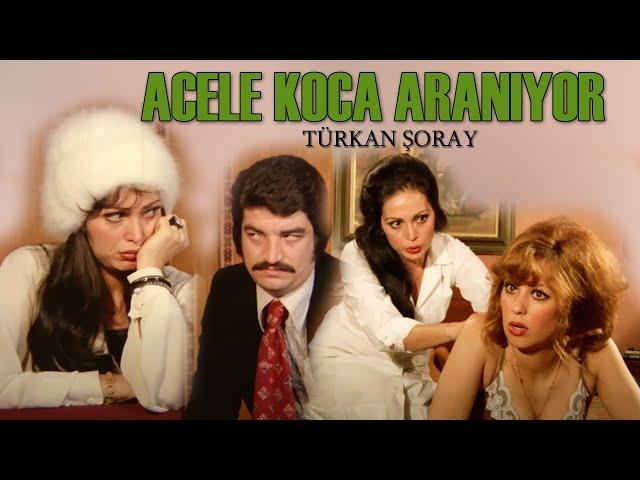 Acele Koca Aranıyor | Türk Filmi | FULL HD İZLE | TÜRKAN ŞORAY