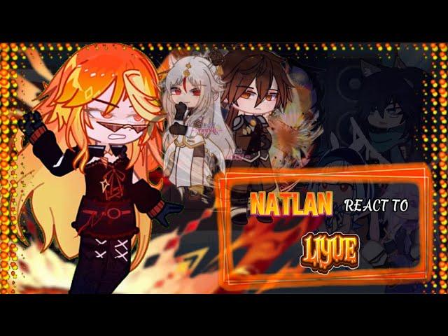 Natlan reacts to other nation||Liyue|| Genshin Impact