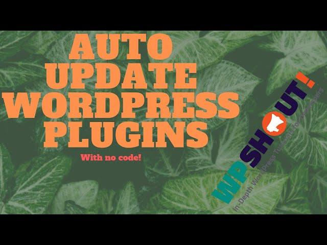 How to Enable Automatic WordPress plugin updates with Companion Auto Update