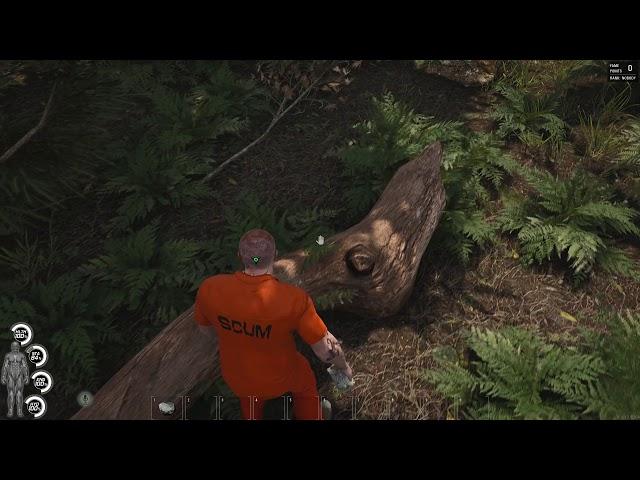 SCUM gameplay Part 1 Multiplayer Europe