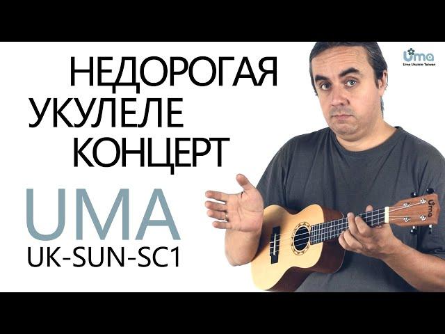 Недорогая укулеле концерт UMA UK-SUN-SC1 | Обзор от Укулеле.ру