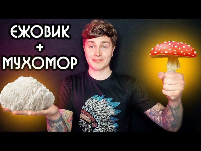 МУХОМОР + ЕЖОВИК + НИАЦИН 30 ДНЕЙ МОЙ ОПЫТ (ЭКСПЕРИМЕНТ) | ЕЖОВИК ГРЕБЕНЧАТЫЙ  АНДРЕЙ АРБЕНИН