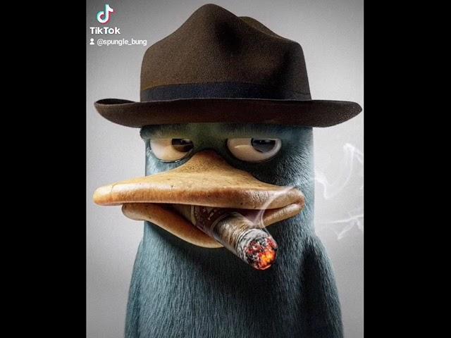 hyper realistic perry smoking a cigar