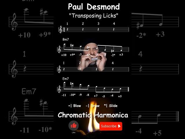 Paul Desmond - Samba Cantina | Transposing licks - Jazz Chromatic Harmonica Tabs