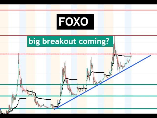 #FOXO  looking for a massive breakout after 1 ! shorts could be trapped! $FOXO