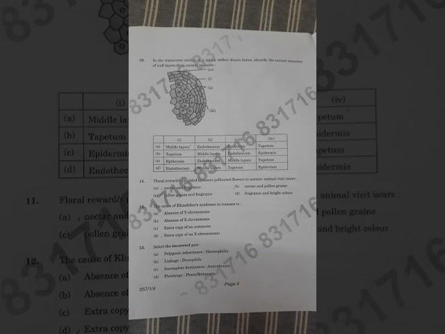 Biology term1 boardexam questionpaper 2021 class12 #biologyboardexam #boardexam #questionpaper #reel