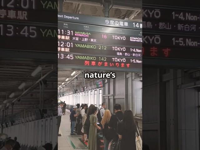 Why Do Japanese Train Stations Play Bird Sounds?