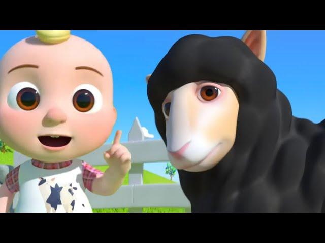 Baa Baa Black Sheep Song | Classic Nursery Rhyme for Kids |