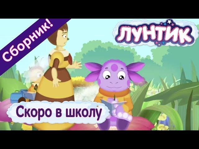 Лунтик - Лучшие серии о школе к 1 сентября!