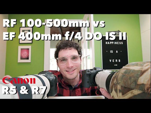 Comparing the Canon RF100-500mm to the EF 400 f/4 DO IS II