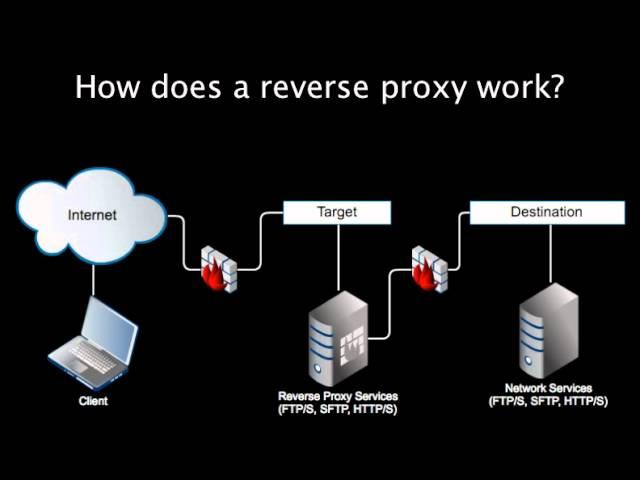 Introducing Reverse Proxy Servers