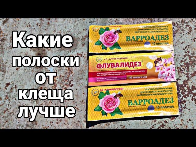 КАКИЕ ПОЛОСКИ ОТ КЛЕЩА ЛУЧШЕ ???