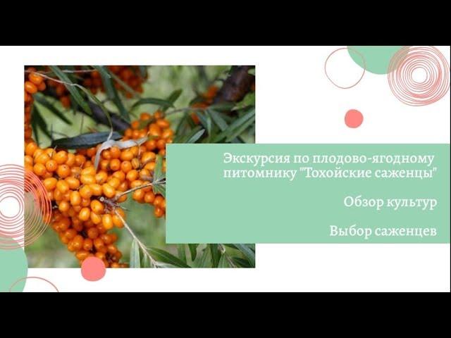 Выпуск 2. Экскурсия в питомник "Тохойские саженцы". Выбор саженцев. Обзор культур.