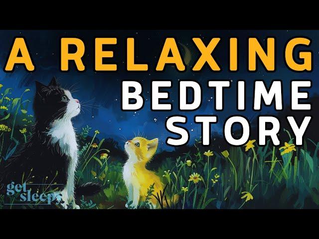 A RELAXING Sleepy Story  Auggie Gets a Kitten  BEDTIME STORY