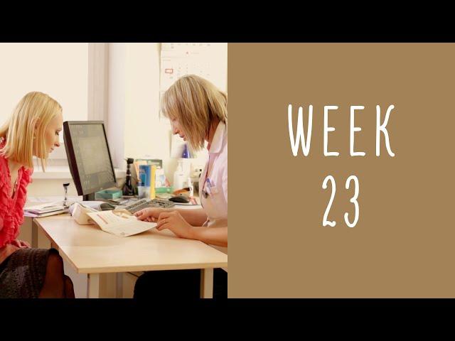 23 Weeks Pregnant - Pregnancy Week by Week