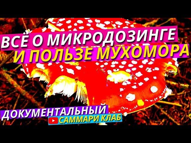 Мухоморы! Вся Правда О Мухоморном Микродозинге, Пользе, Вреде И Биохакинге l Документальный Фильм