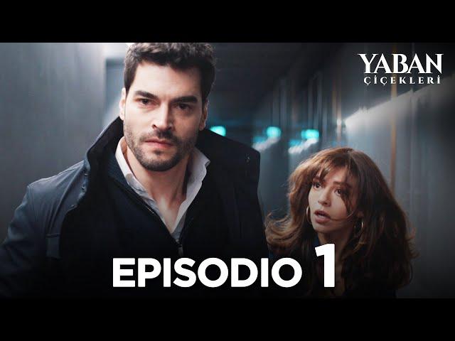 Yaban Çiçekleri - Episodio 1 (Sottotitolato in italiano)