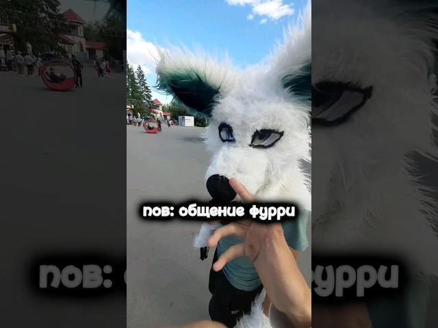 #furries #grinya #kurgan #гриня #курган #фурри #fox #антифурри #antifurry #walk