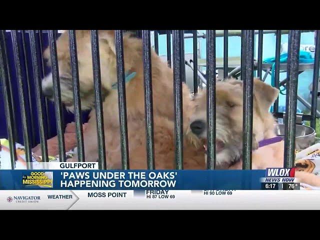 SATURDAY: MS Gulf Coast Kennel Club to celebrate 'Responsible Dog Ownership Day' with event