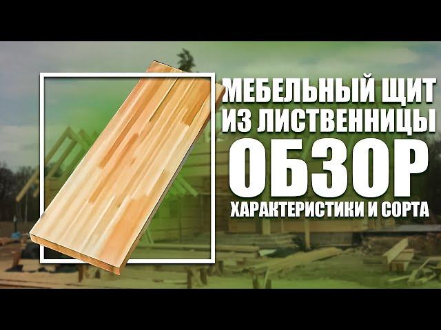 Мебельный щит из лиственницы: обзор, характеристики и сорта.